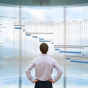 Civil Construction Project Management Fundamentals (Online)